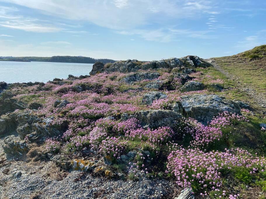 Entire Guest Suite In Four Mile Bridge, Rhoscolyn Valley Kültér fotó